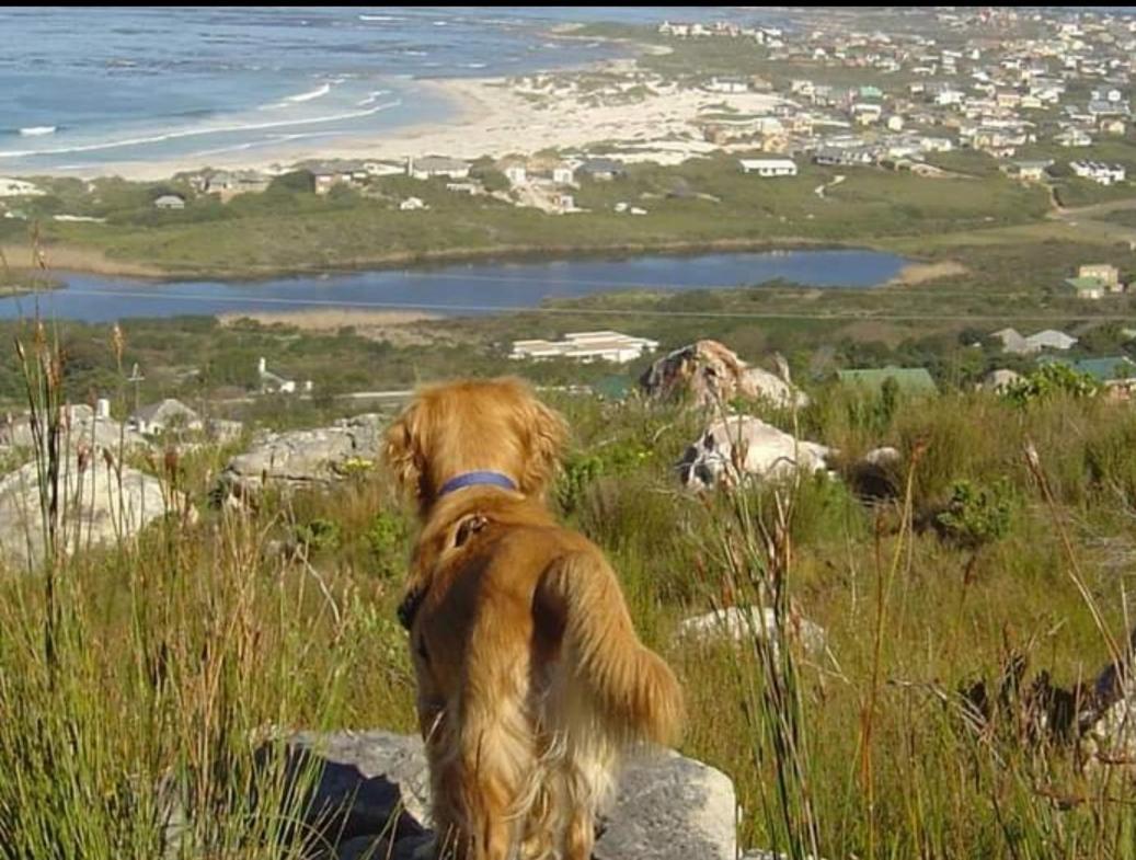 Brandys Beach House Bettyʼs Bay Esterno foto