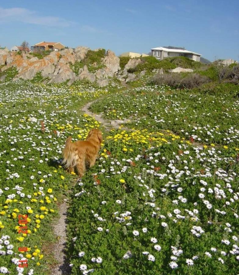 Brandys Beach House Bettyʼs Bay Esterno foto