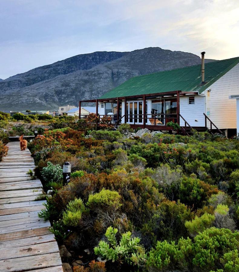 Brandys Beach House Bettyʼs Bay Esterno foto