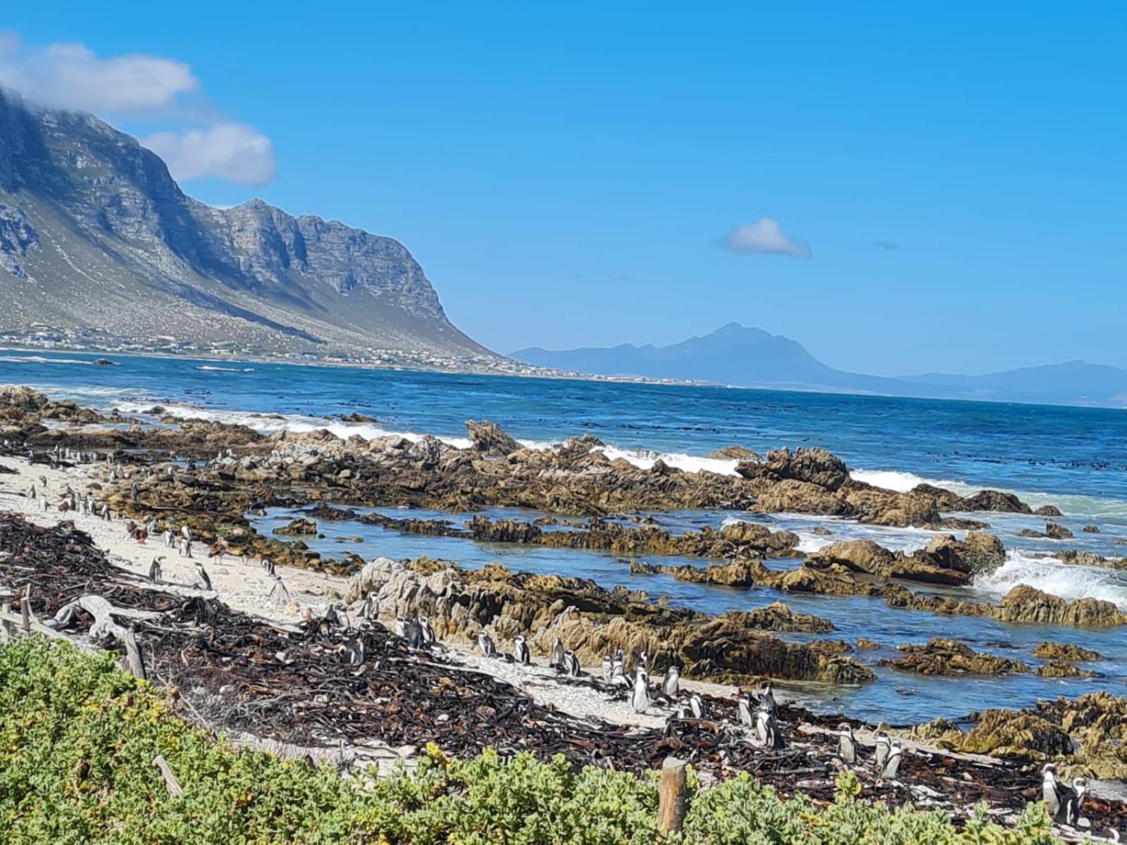 Brandys Beach House Bettyʼs Bay Esterno foto