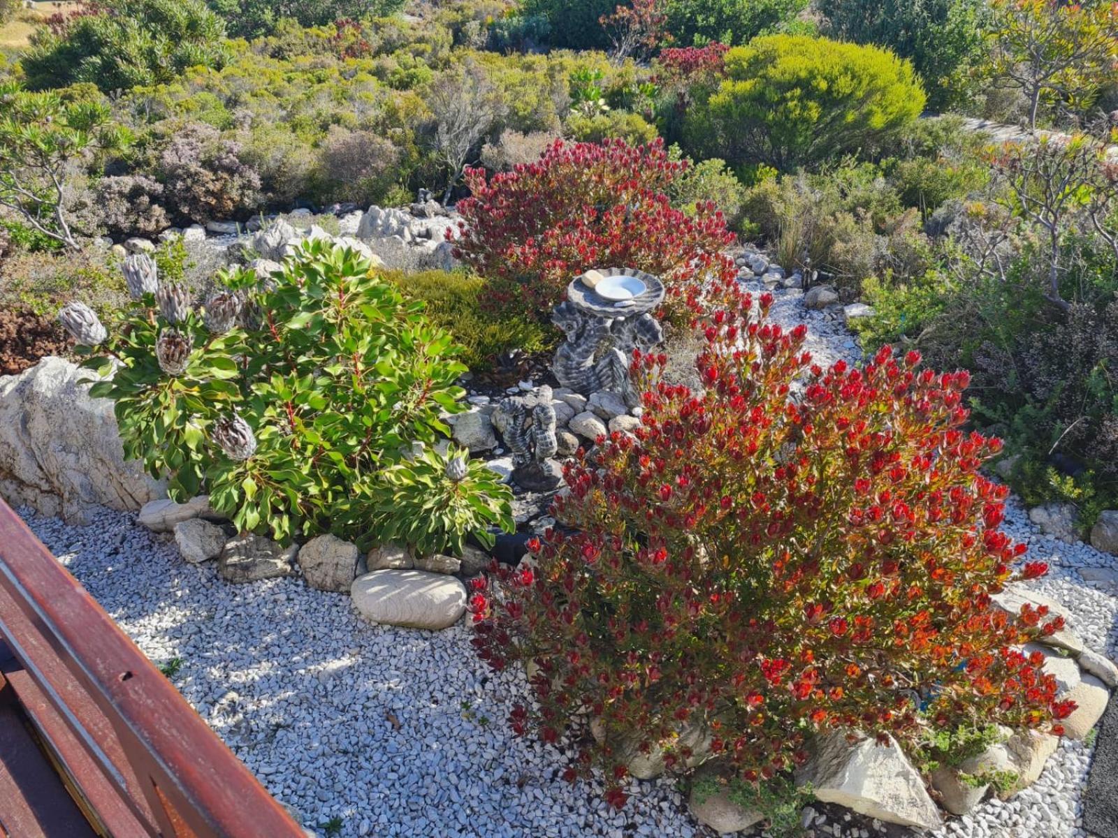 Brandys Beach House Bettyʼs Bay Esterno foto